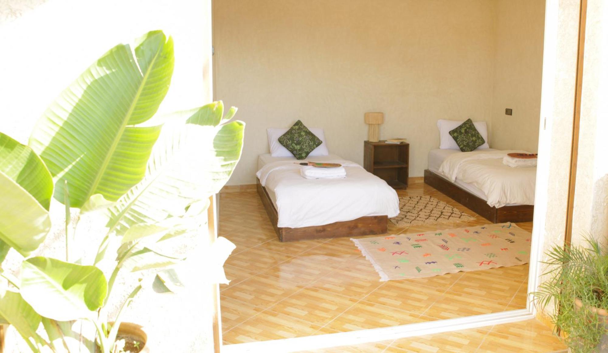 فندق Cactus Surf Experience إمسوان المظهر الخارجي الصورة